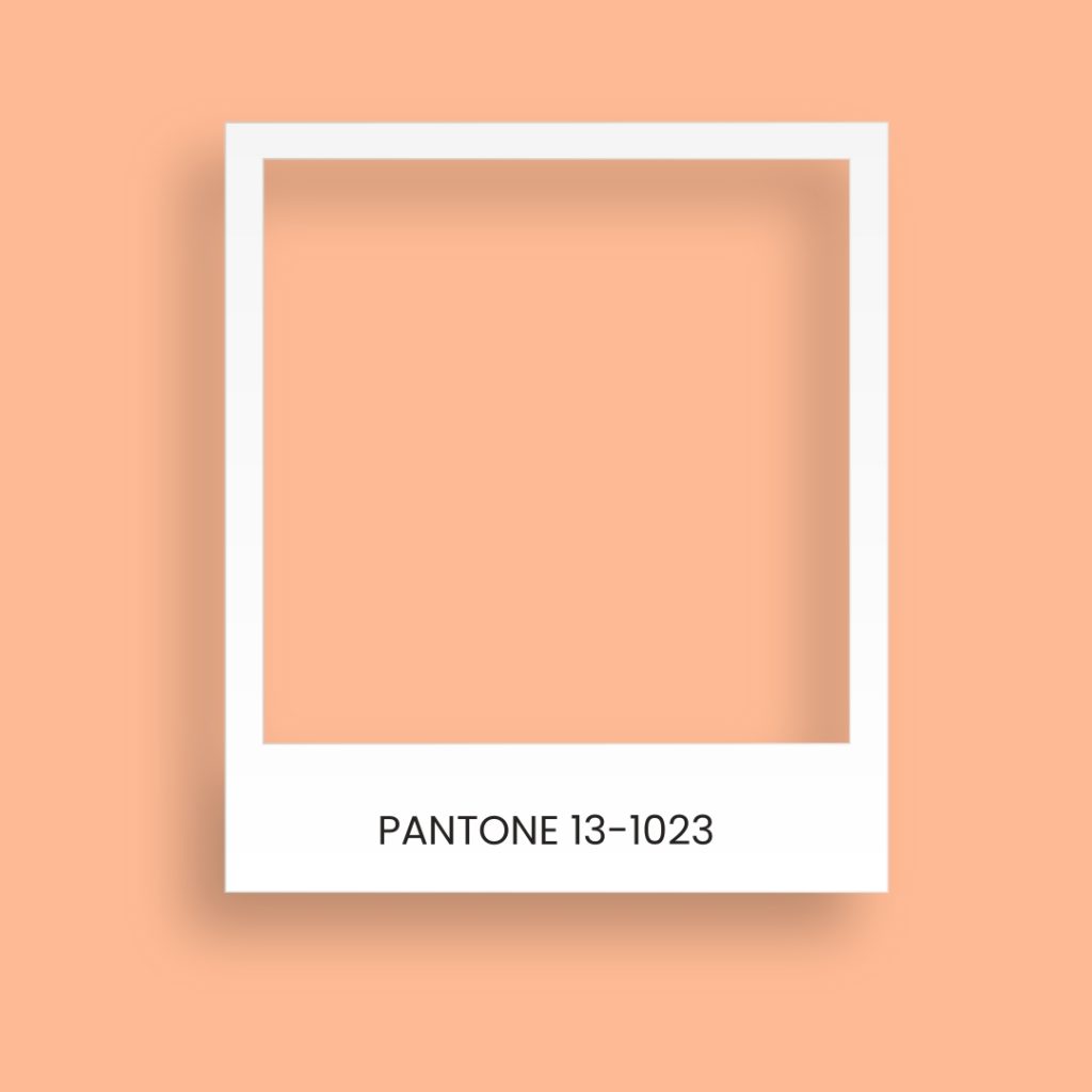 Color of the Year 2024