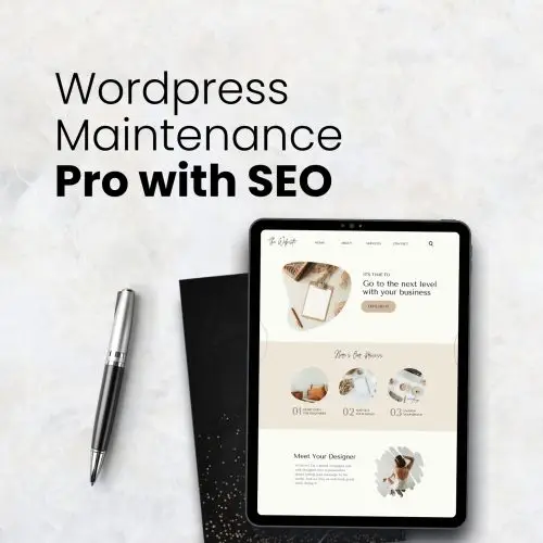Wordpress Maintenance Pro with Basic SEO